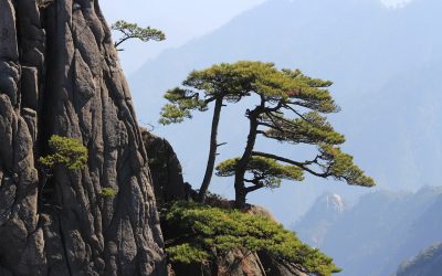 Aktionswoche Geodäsie erobert die Welt