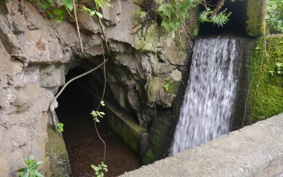 Die Reise des Travelbugs „Die Vermesserin“